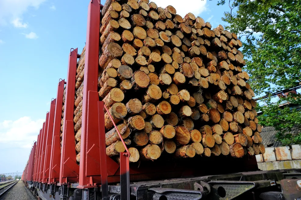 Digital delivery notification adds value for Sveaskog's timber transports